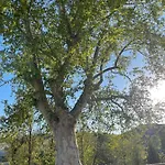 Casa de hóspedes El Rincon De Tono 3*