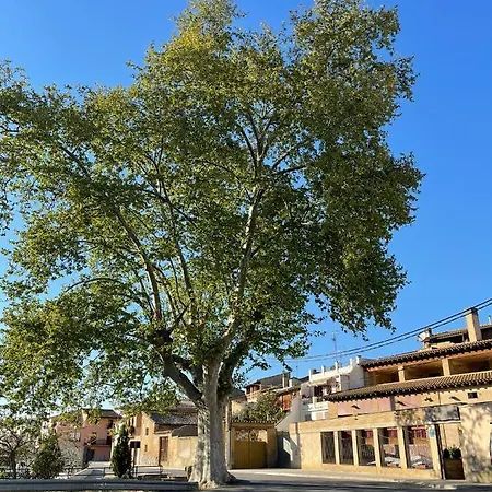 El Rincon De Tono بيت ضيافة Pomar (Aragon)