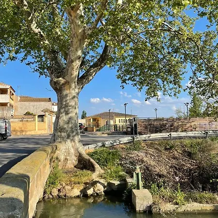 El Rincon De Tono