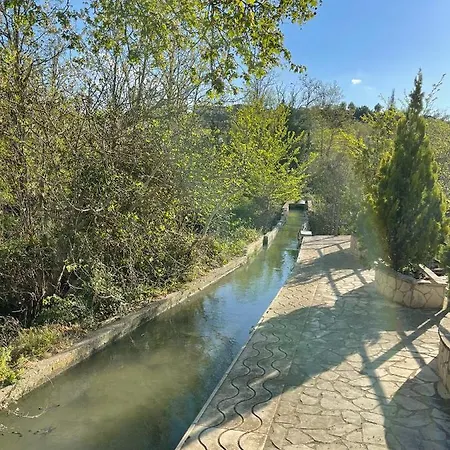 El Rincon De Tono