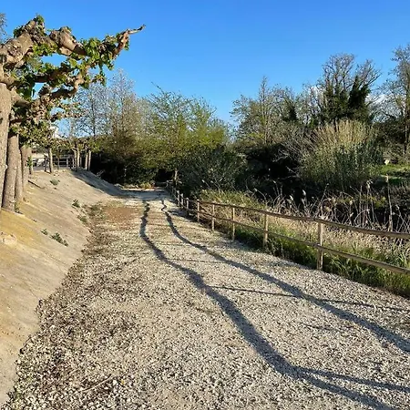 بيت ضيافة El Rincon De Tono 3*