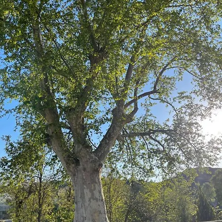 Πανσιόν El Rincon De Tono 3*