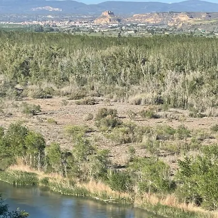 El Rincon De Tono