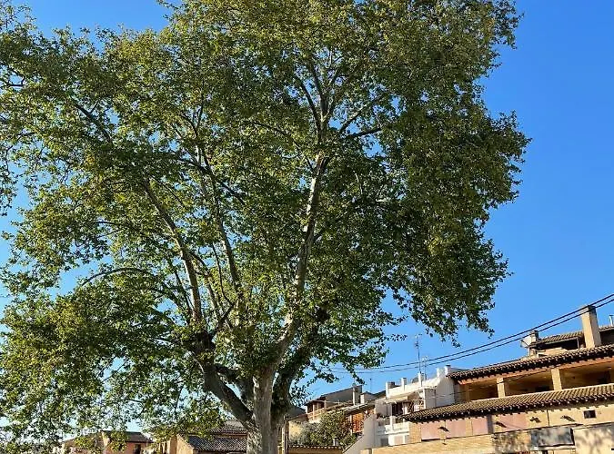 El Rincon De Tono ゲストハウス Pomar