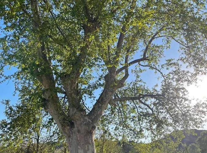 ゲストハウス El Rincon De Tono 3*