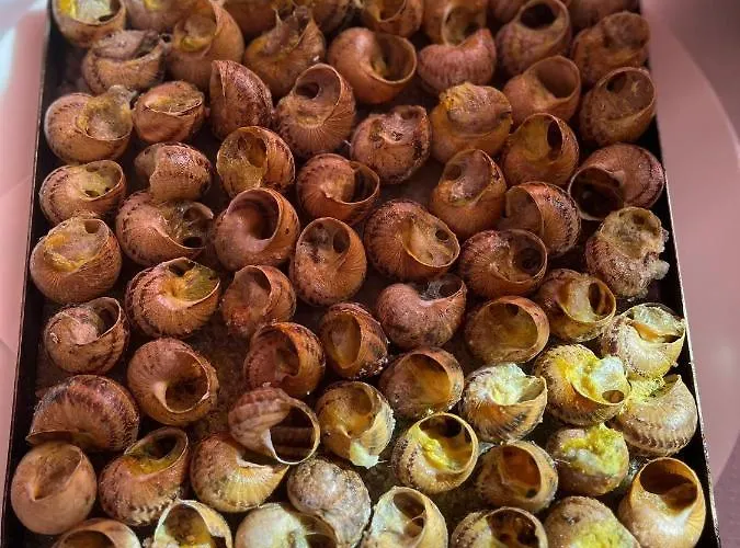 ゲストハウス El Rincon De Tono