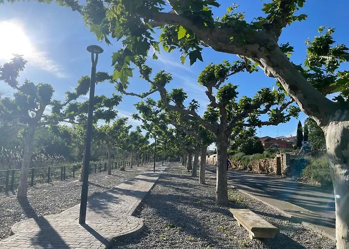 El Rincon De Tono ゲストハウス Pomar