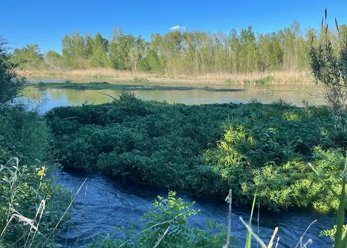 El Rincon De Tono 3*